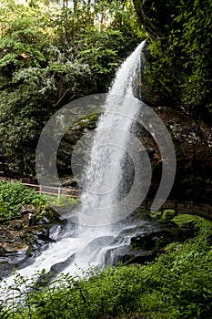 Vertical-Dry is surrounded with greenery in summer.