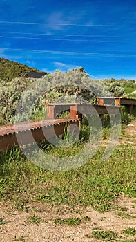 Vertical Elevated wooden bike tracks amid bushes and grasses on a hill under blue sky