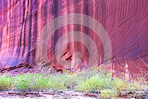 Vertical Eroded Red Rock Wall Background, Famous Buscksin Gulch Slot Canyon