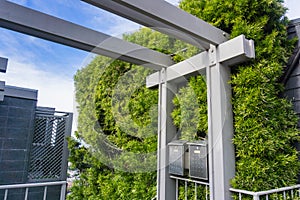 Vertical evergreen plant wall, landscaping ideas, San Francisco, California