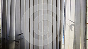 Vertical fabric white blinds on the window with light and shadow from the sun. Background and texture. Abstract pattern