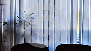 Vertical fabric white blinds on the window with the sun. Background and texture. Abstract pattern and frame. Stripes and