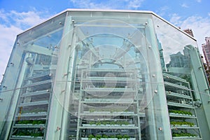 Vertical Farm Tower in Hong Kong