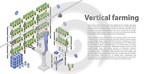 Vertical farming concept banner, isometric style