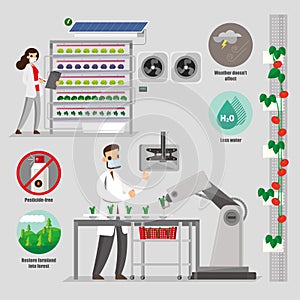 Vertical farming and its advantages