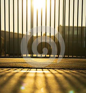 Vertical fence casting long shadows on pavement..