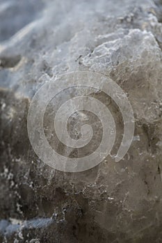 Vertical filled frame close up macro shot of a brown, beige, white mineral salt lick stone intended for feeding wild boars in a