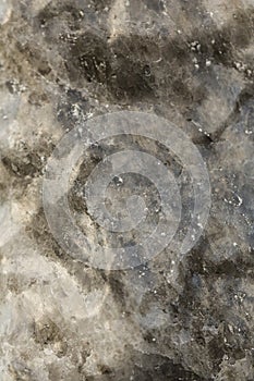 Vertical filled frame close up macro shot of a brown, beige, white mineral salt lick stone intended for feeding wild boars in a