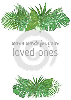 Vertical foliage frame, wedding invitation, label, postcard, save date. Bouquet of green palm