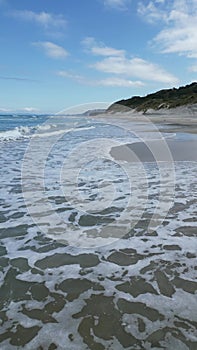 Vertical footage of the ocean washing the coasts of Dunedin, South Island, New Zealand