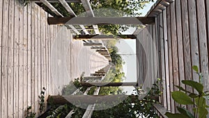 Vertical footage. Wooden bridge Dominican beach Macao.