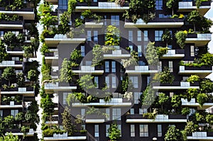 Vertical forest. Bosco verticale Contemporary architecture in Milan, Italy