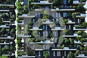 Vertical forest. Bosco Verticale Contemporary architecture in Milan, Italy