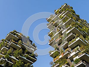 Vertical Forest Towers - Sustainable Green Architecture