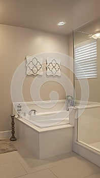 Vertical frame Bathroom interior with a shower stall beside the built in bathtub