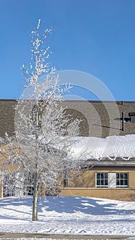 Vertical frame Exterior of church with lovely frosted trees on the sunlit snowy yard in winter