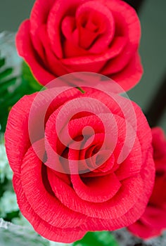 vertical frame of focusing at one red rose flower in bunch