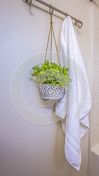 Vertical frame Home bathroom interior with towel and hanging plant beside the built in bathtub