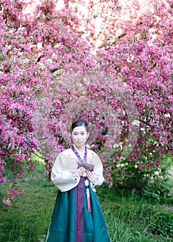 Vertical frame of lovely korean female person in a traditional hanbok dress poses on camera standing in front of a large photo