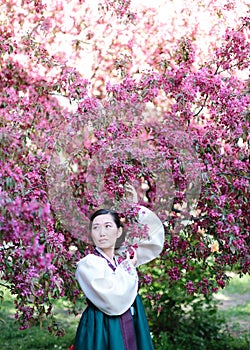 Vertical frame of stunning Korean girl in traditional white and green hanbok dress standing under a blossoming sakura tree and photo