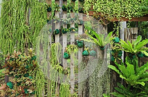 Vertical garden