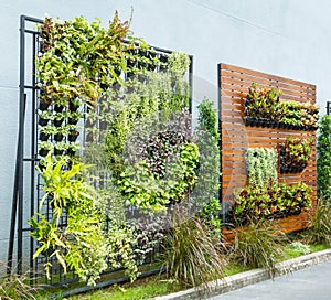 Vertical garden