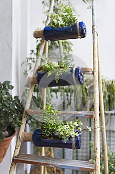 Vertical garden