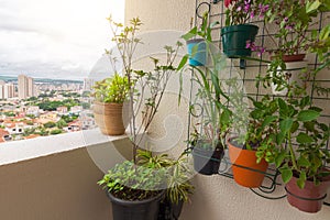 Vertical garden on the balcony of the building. Various types of plants photo