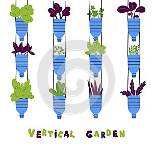 Vertical garden concept.Plants are growing