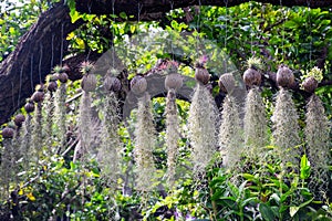 Vertical garden decoration in park.