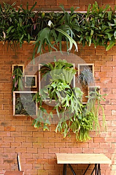 Vertical Garden and Dining Table