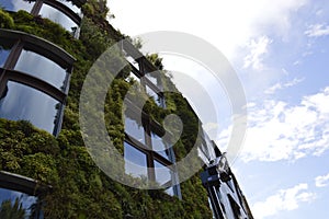 Vertical Garden in paris with blue sky