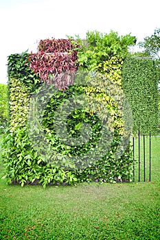 Vertical garden photo