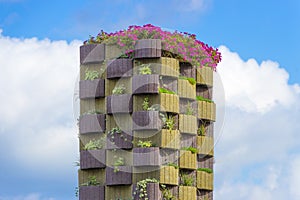 vertical garden planted with succulents An urban living green wall