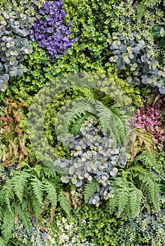 vertical garden wall background