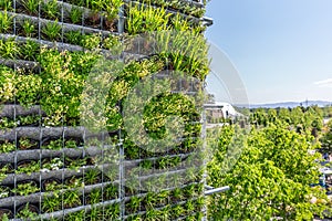 Vertical gardening. Artificial vertical green garden decoration on the wall