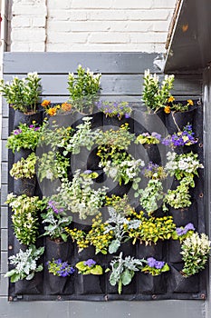 Vertical gardening system photo