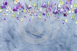 Vertical gray and white background with purple and white spring flowers border and space for text