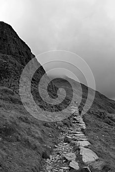 Vertical grayscale of a foggy pathway on the hillside