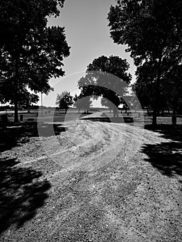 Vertical grayscale of a park in Brady with trees and dusty path