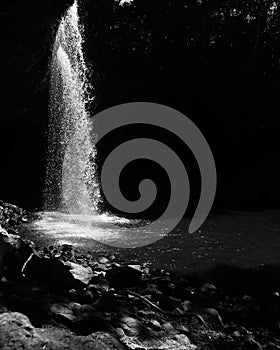 Vertical grayscale shot of a flowing splashing waterfall in aforest photo