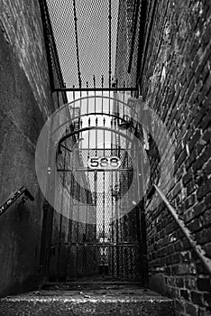 Vertical grayscale shot of a metal gate in a secret corner of the city