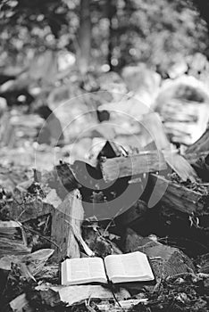 Vertical grayscale shot of an open bible near broken trees on the ground with a blurred background