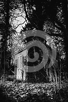 Vertical grayscale shot of a small abandoned house under the trees