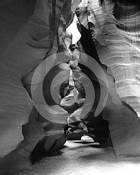 Vertical grayscale view of Antelope Canyon in Lechee, Arizona photo