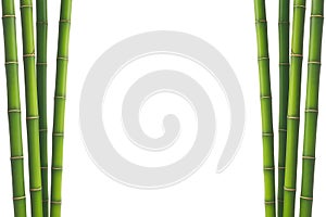 Vertical green bamboo stalks frame a black background