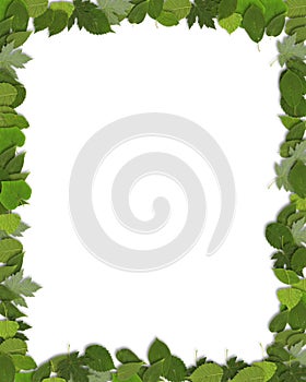 Vertical Green Leaf Border