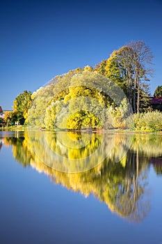 Vertical of green trees reflecting on a tranquil lake on a sunny day