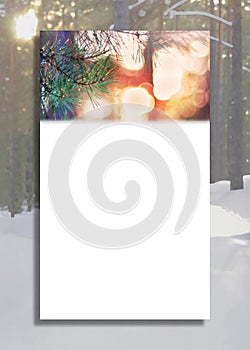 Vertical Greeting Card Illustration, Pine Tree Fir Branch And Lights, Sunny Winter Forest Background. Christmas And New Year Banne