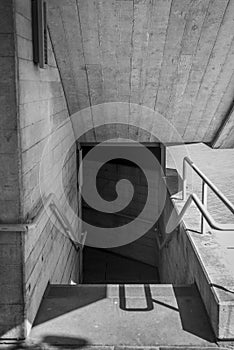 Vertical greyscale shot of stairs leading to a dark basement